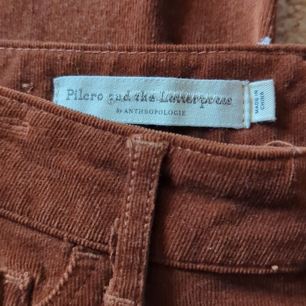 Pilcro & The Letterpress Anthropologie Brown Corduroy Skinny Jeans Size 26 - Picture 2 of 8
